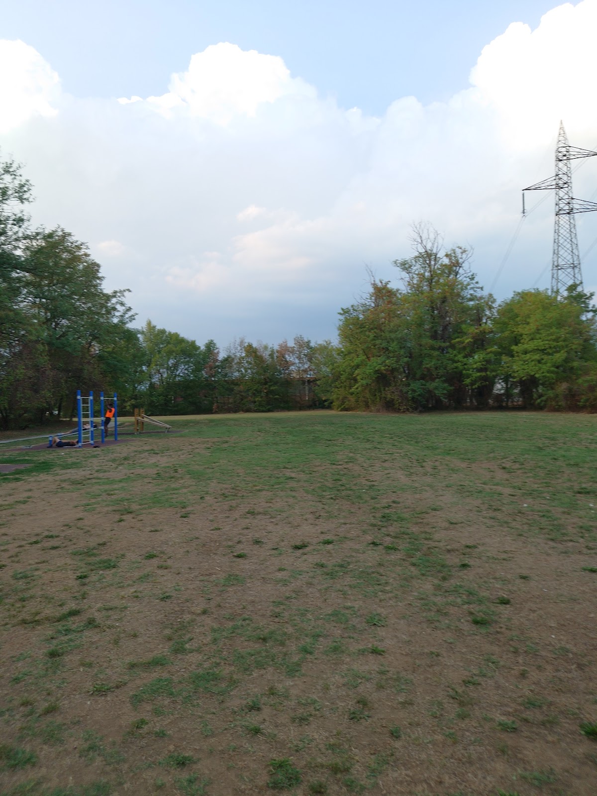 Strutture calisthenics