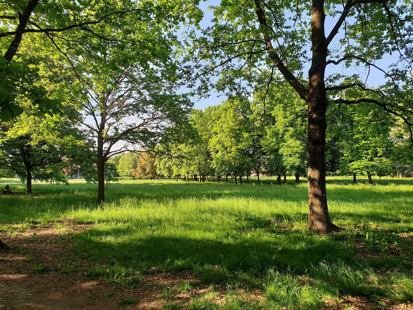 The Buckeyes Park