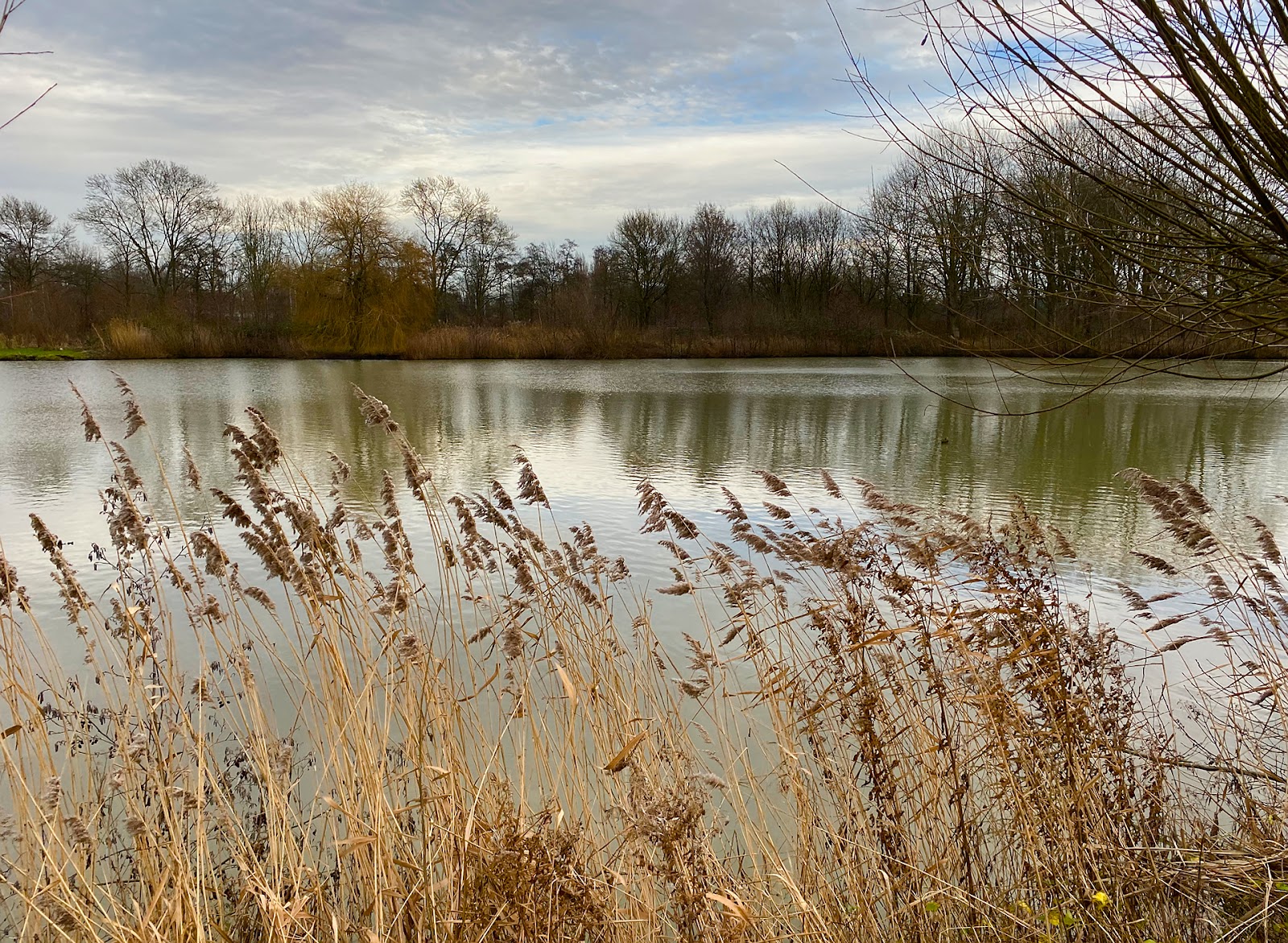 Wilhelminapark, Rijswijk
