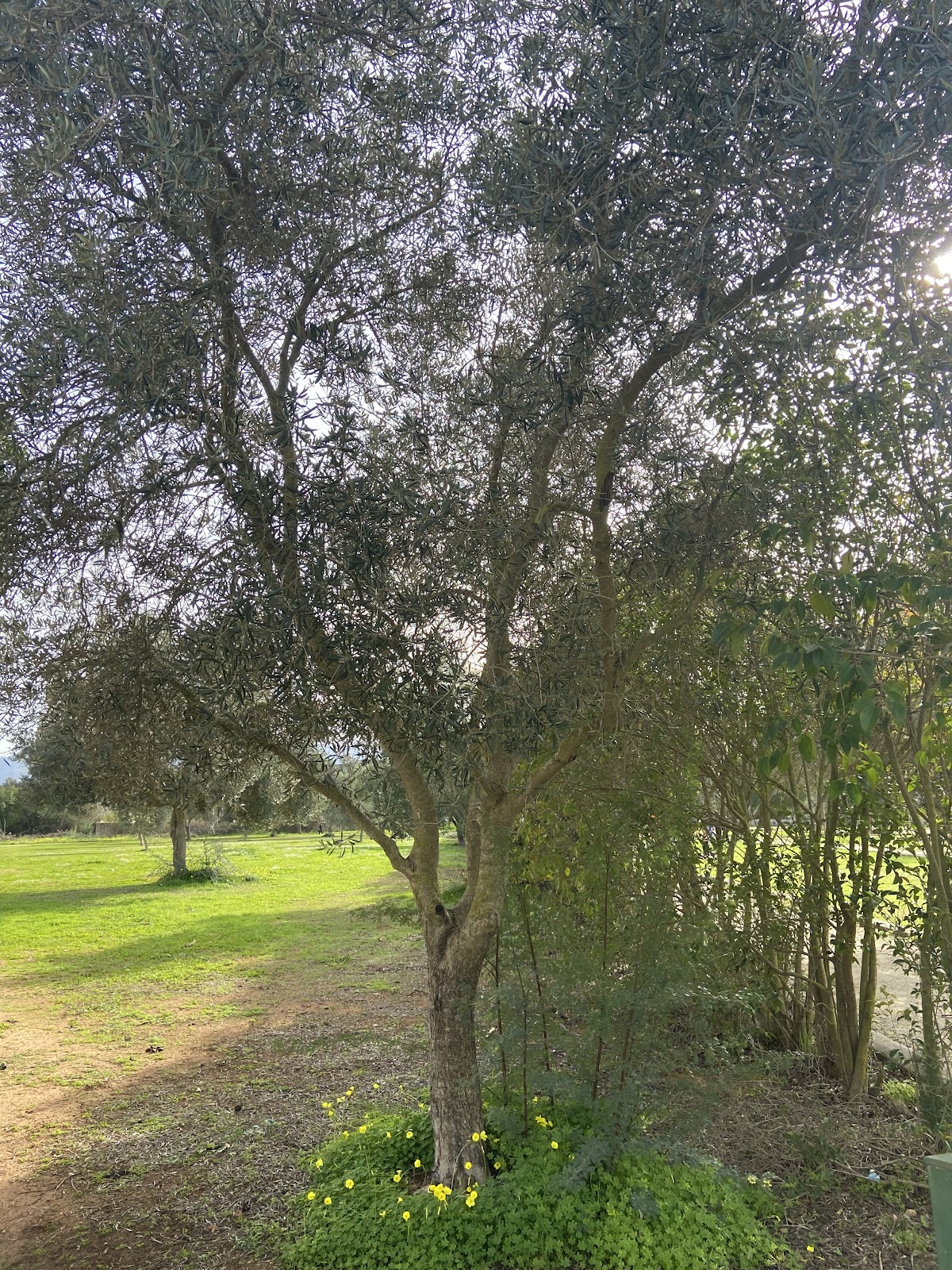 zona attrezzata per l'allenamento